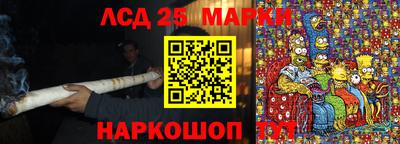 крисы Баксан