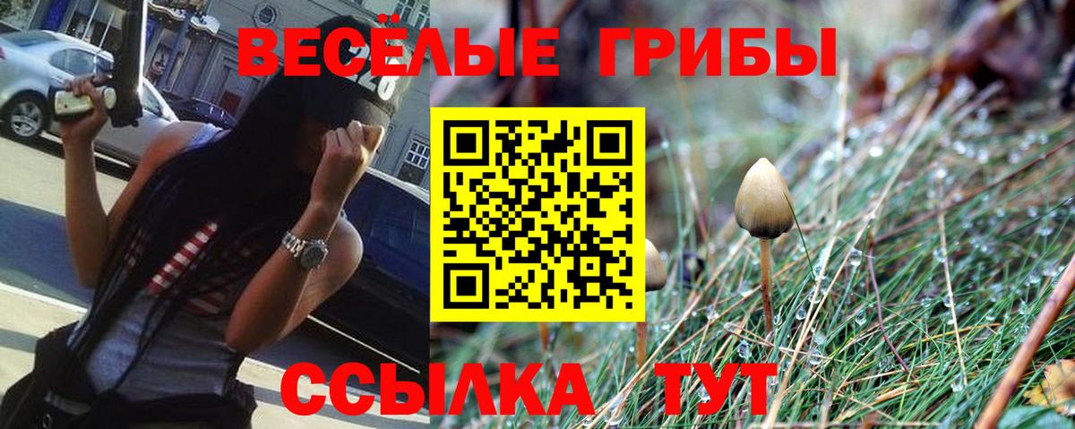 Галлюциногенные грибы прущие грибы  Вход с VPN  Белореченск 